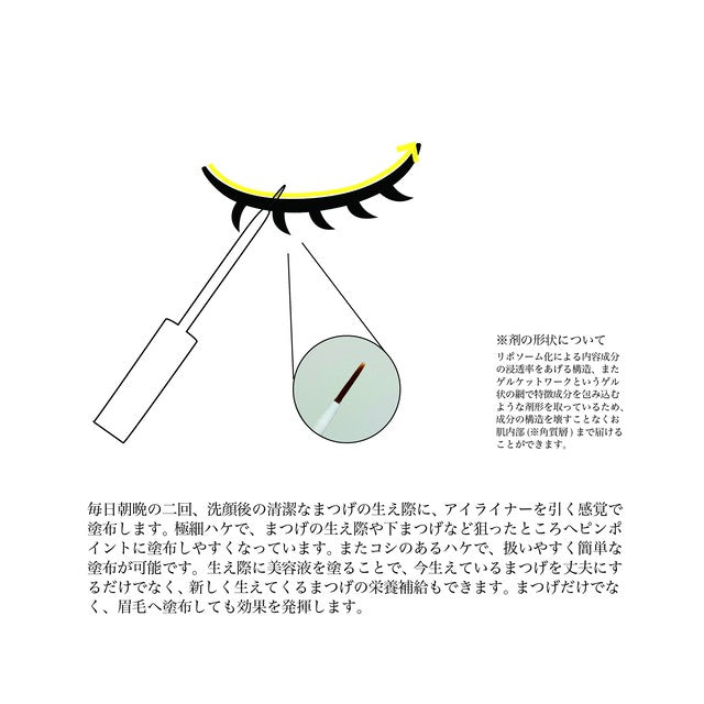 POTACIA ヒト幹細胞培養液 アイラッシュセラム 5ml-スキンケア-POTACIA