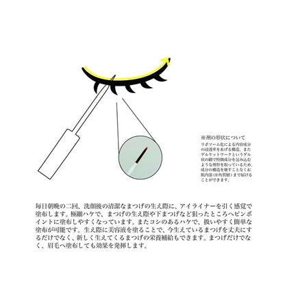 POTACIA ヒト幹細胞培養液 アイラッシュセラム 5ml-スキンケア-POTACIA